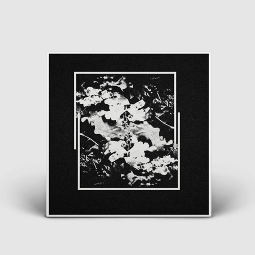 ANTIDOTE Premiere: Persohna - Cadence [AE074]