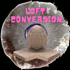 LOFT CONVERSION