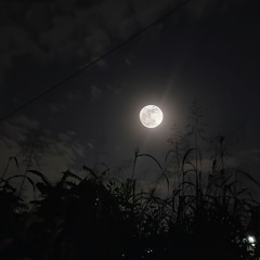 Moonlyght ft @hatekrymes (Prod @00caml)