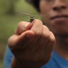 TEMA DI VAKHIM (2ND VERS) - from the original motion picture "Vakhim"