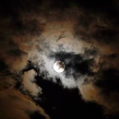 the space (prod pekarot x luffysome)