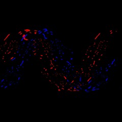 Destructive Interference (Demo)