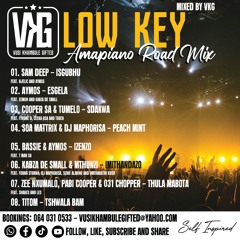 VKG - LOW KEY Amapiano Road Mix