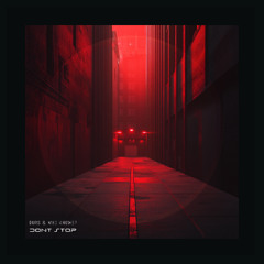 Durs & Who Knows? - Don't Stop (original mix)