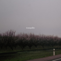 tranquility