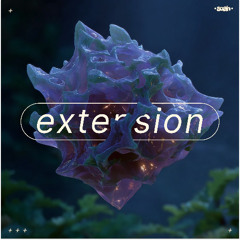 extension
