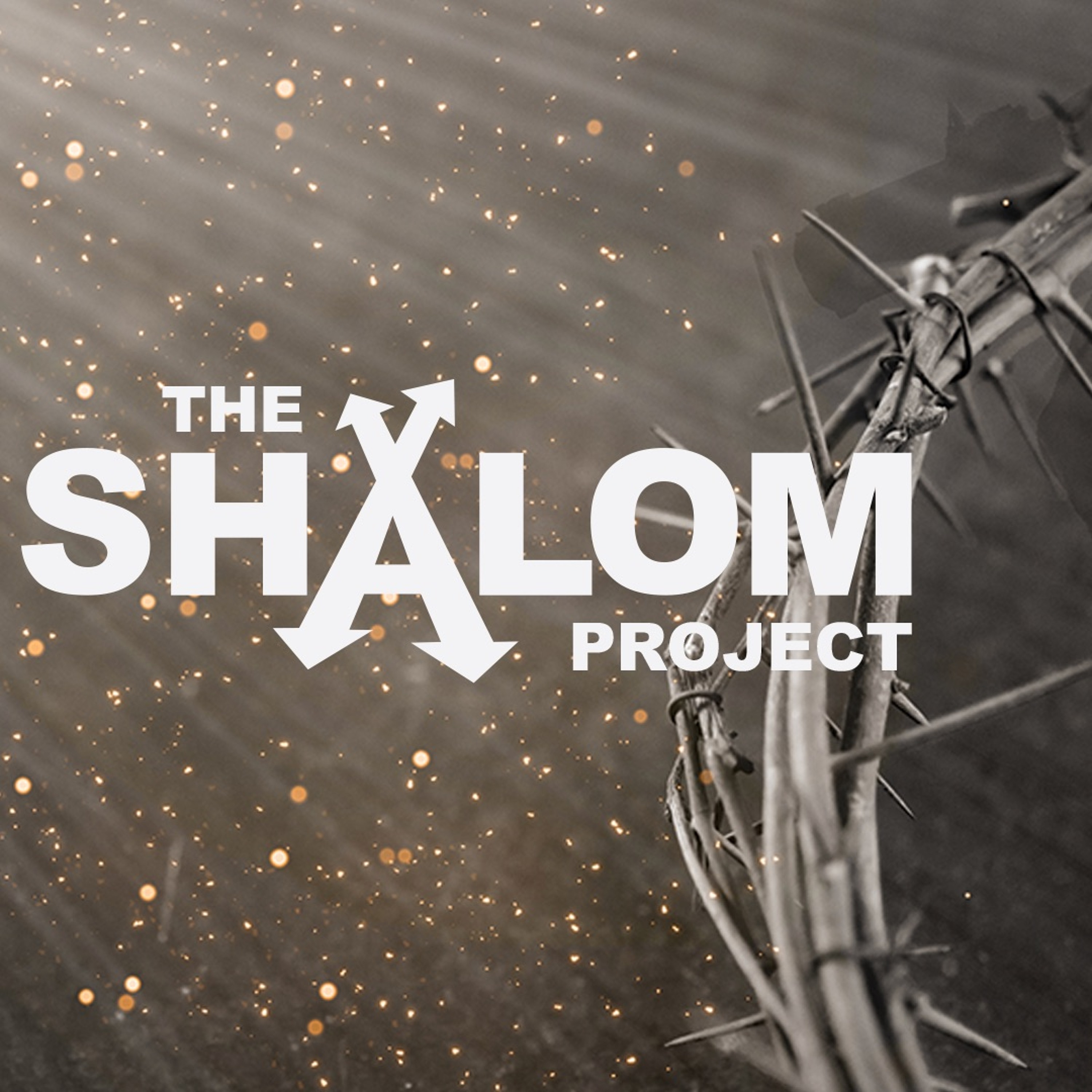 2022-04-17 The Shalom Project - Part 15: Easter, Pastor Matt Dyck episode artwork