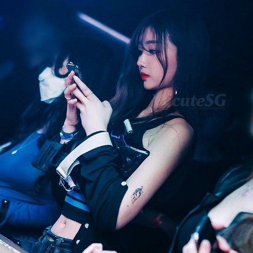 Butterfly (Exabios Remix) - Bản Nhạc Huyền Thoại Việt Nam - Track Tik Tok Được Yêu Thích Nhất 2020