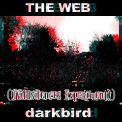THE WEB - darkbird (Wildsilences Experiment) [Midnight Mix]