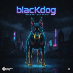 Platinum Mist - Modern Trap Beat