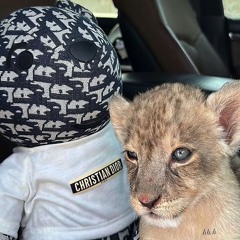 Pahalı ve Kaliteli 2.0