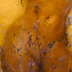 Bangers Tucked (Prod. GMRY)