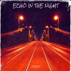 Echo in the Night