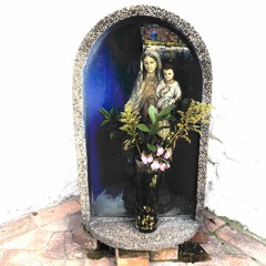 a eternum praesidium (versión no oficial)