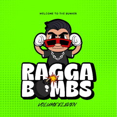 RAGGA BOMBS VOL 11 - (10 MASHUPS / EDITS For Sale)