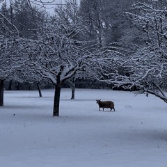 endless - oklou cover