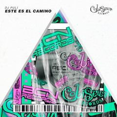 DJ PULI - ESTE ES EL CAMINO
