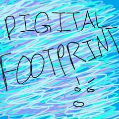 digital footprint