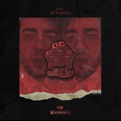 AmirWili - Señorita