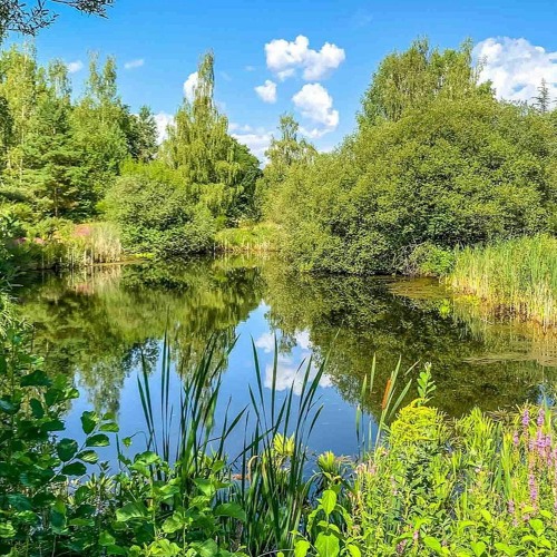 Botanischer Garten Bayreuth