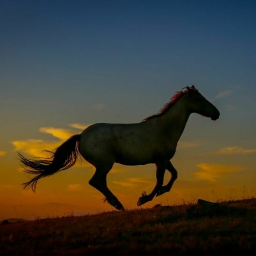 Gino Vanelli - Wild Horses - REMAKE