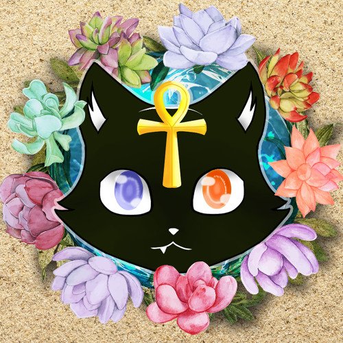 Deep down the mushroom forest