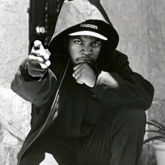 Ice Cube When Will They Shoot Remix