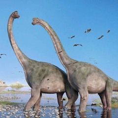 11. Des Dinosaures Dans l'Arche de Noé ? (Genèse 7)