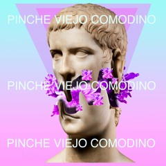 Pinche Viejo Comodino (Mixtape)