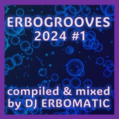ERBOGROOVES 2024 #1  (compiled & mixed by DJ ERBOMATIC)