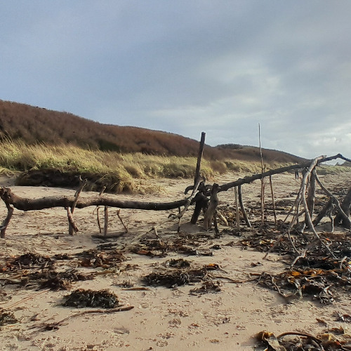 broken down [disquiet0723]