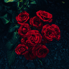 onamoyarozayaeelublu