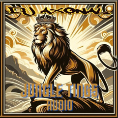 DJ Axonal-sunshine dayz clip Forthcoming Jungle Tings Audio Release TBA