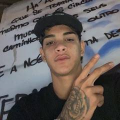MEU PARCEIRO QUE FOI SEM SE DESPEDIR, SAIU DO CRIME E FICOU MEC, SAUDADES DÓI ( Speed Up )