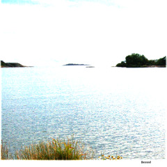 Ambient and Electronic
