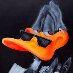 DNB DAFFY COOL