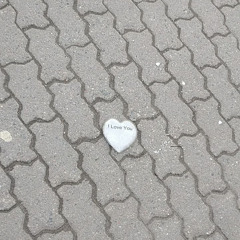 because i never dream