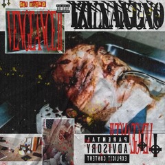 VENGEANCE II-[PROD. DES1R3DKAI]