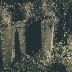 Log_20230216（demo）