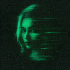 Rob Vice - Fact Check