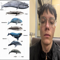 летаю еще выше
