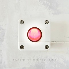 What does this button do? (Remix)