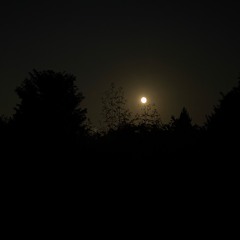 you'll find a good one / the worlds enormous