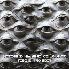 Voices In My Head X I Love It - Anyma, Argy, Son of Son X Icona Pop, Charli XCX - TOBO Edit