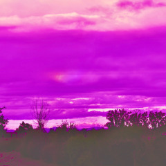 Purple Music