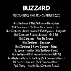 Nick Sentience Vinyl Mix - September 2022