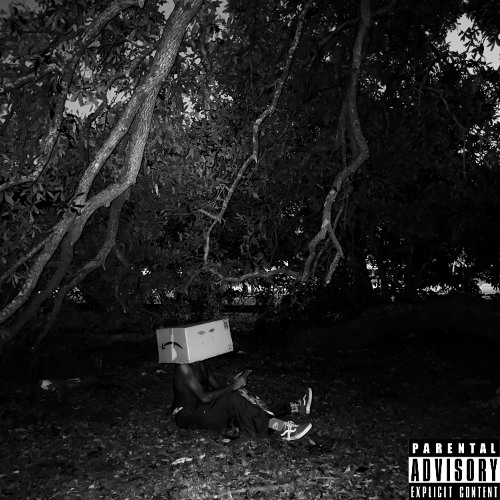 YUNG DRACULA 4: MEDIEVAL FUTURISTICA