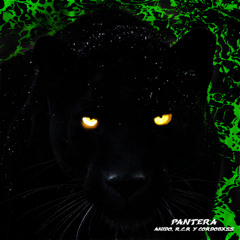 Anido, R.C.R, cordobxss - Pantera || Prod. by cordobxss