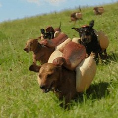 Summer Fields (Ft. Jamee & Wesley)