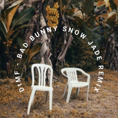DtMF - Bad Bunny (snow jade remix)[FREE DOWNLOAD]